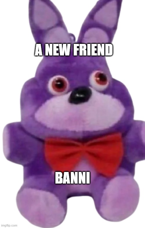 A new recruit to the team | A NEW FRIEND; BANNI | image tagged in bonnie,plush | made w/ Imgflip meme maker