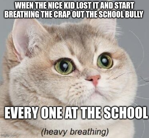 oh no | WHEN THE NICE KID LOST IT AND START BREATHING THE CRAP OUT THE SCHOOL BULLY; EVERY ONE AT THE SCHOOL | image tagged in memes,heavy breathing cat | made w/ Imgflip meme maker