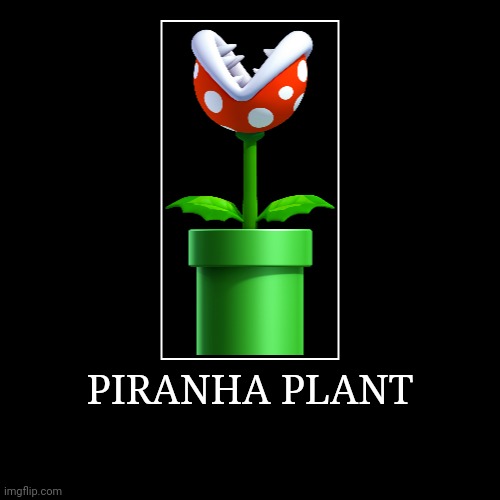 Piranha Plant | PIRANHA PLANT | | image tagged in demotivationals,super mario bros,piranha plant | made w/ Imgflip demotivational maker