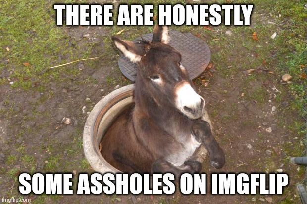 Asshole |  THERE ARE HONESTLY; SOME ASSHOLES ON IMGFLIP | image tagged in asshole | made w/ Imgflip meme maker