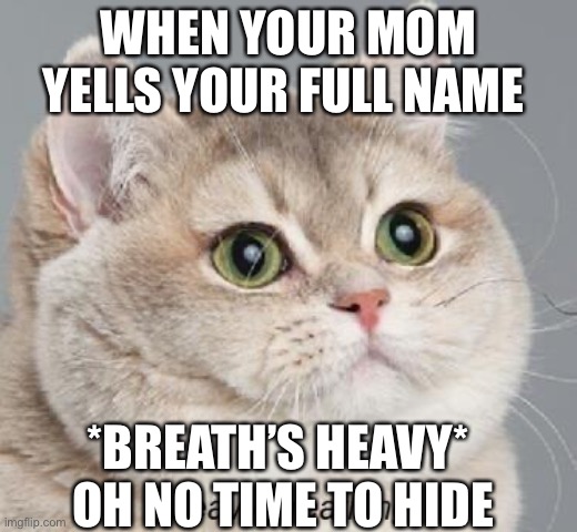 Heavy Breathing Cat | WHEN YOUR MOM YELLS YOUR FULL NAME; *BREATH’S HEAVY* 
OH NO TIME TO HIDE | image tagged in memes,heavy breathing cat | made w/ Imgflip meme maker