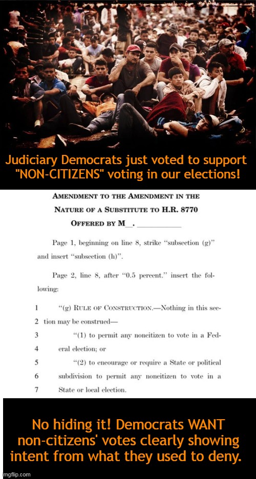 Democrats openly pushing for it now after years of pretending it wasn’t a motivating factor for them being so soft on the border | Judiciary Democrats just voted to support 
"NON-CITIZENS" voting in our elections! No hiding it! Democrats WANT 
non-citizens' votes clearly showing 
intent from what they used to deny. | image tagged in politics,open borders,democrat,voters,illegals,wait that's illegal | made w/ Imgflip meme maker