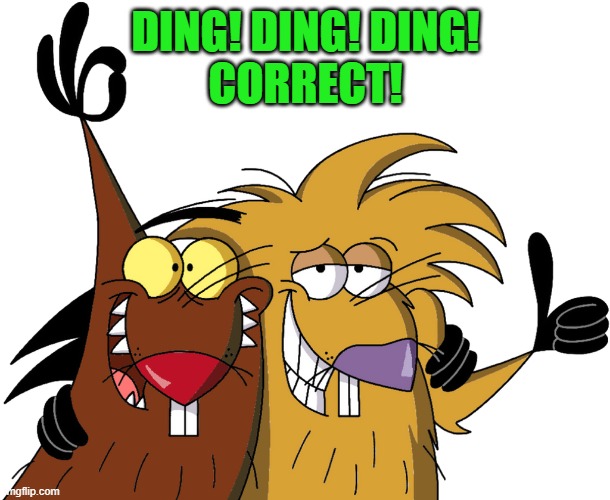 Beavers | DING! DING! DING!
CORRECT! | image tagged in beavers | made w/ Imgflip meme maker