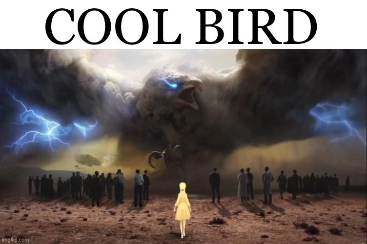 COOL BIRD | made w/ Imgflip meme maker