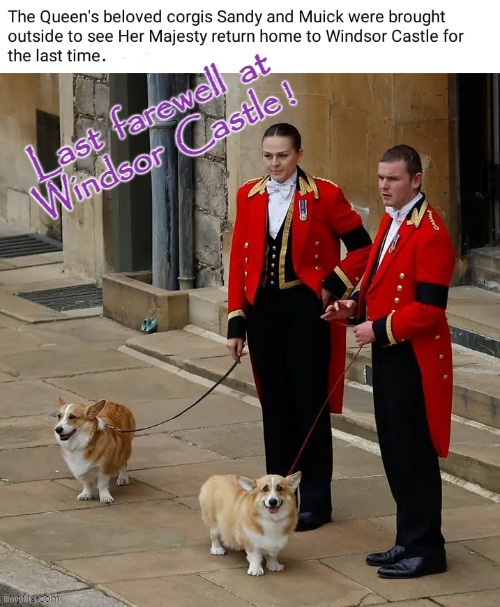Sandy and Muick say goodbye ! | image tagged in castle | made w/ Imgflip meme maker