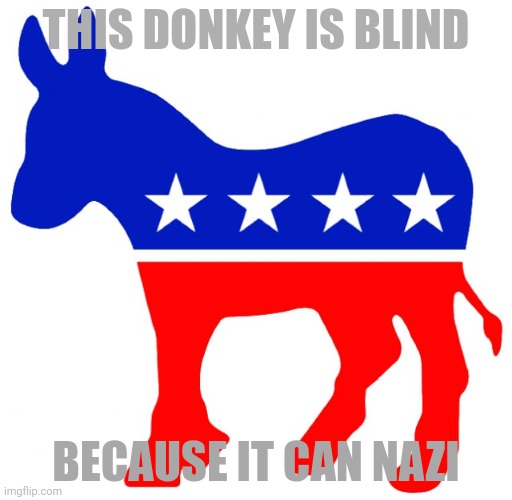 Democrat donkey is blind | THIS DONKEY IS BLIND; BECAUSE IT CAN NAZI | image tagged in nazi,nazis,neo-nazis,joe biden,biden,democrats | made w/ Imgflip meme maker