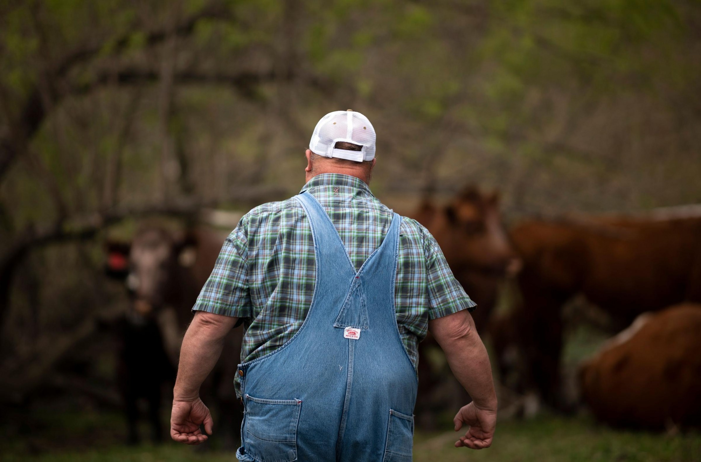 chunky farmer Blank Meme Template