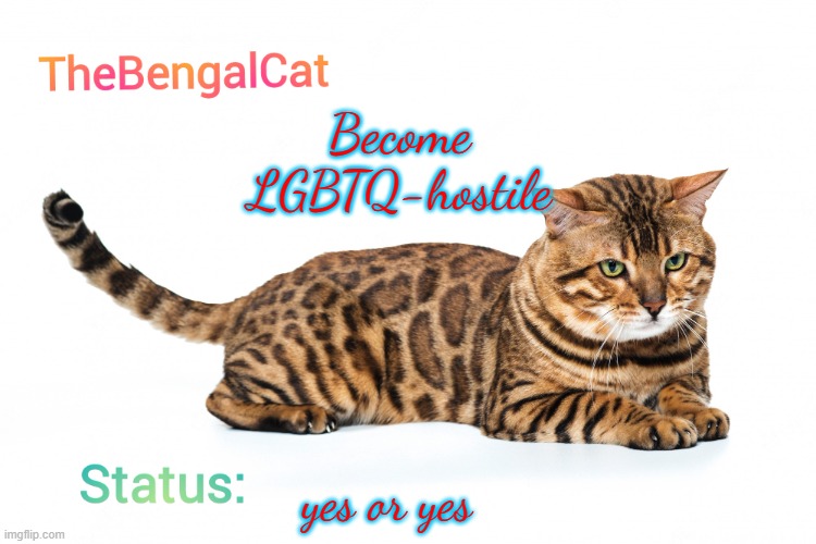 the stream | Become LGBTQ-hostile; yes or yes | image tagged in thebengalcat annoucment template | made w/ Imgflip meme maker
