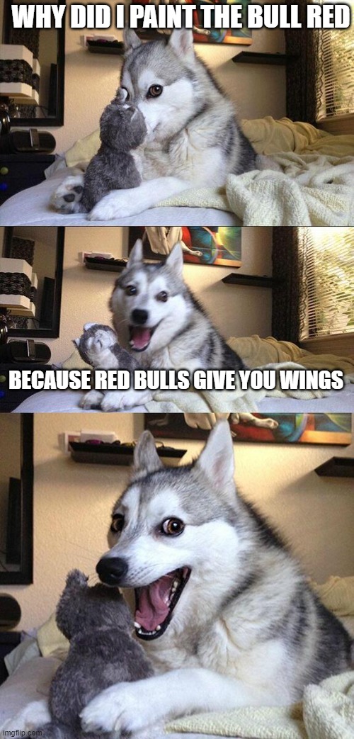 DRINK SOME RED BULL EVERYONE |  WHY DID I PAINT THE BULL RED; BECAUSE RED BULLS GIVE YOU WINGS | image tagged in memes,bad pun dog,red bull | made w/ Imgflip meme maker