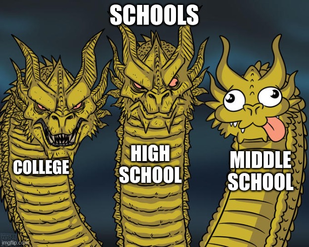 Three-headed Dragon | SCHOOLS; HIGH SCHOOL; MIDDLE SCHOOL; COLLEGE | image tagged in three-headed dragon,school meme | made w/ Imgflip meme maker