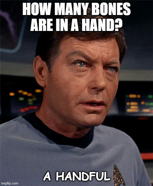 Daily Bad Dad Joke September 22 2022 | HOW MANY BONES ARE IN A HAND? A HANDFUL | image tagged in bones mccoy | made w/ Imgflip meme maker