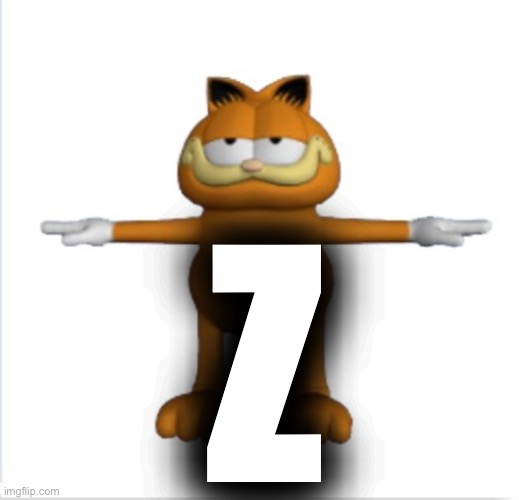 garfield t-pose | Z | image tagged in garfield t-pose | made w/ Imgflip meme maker