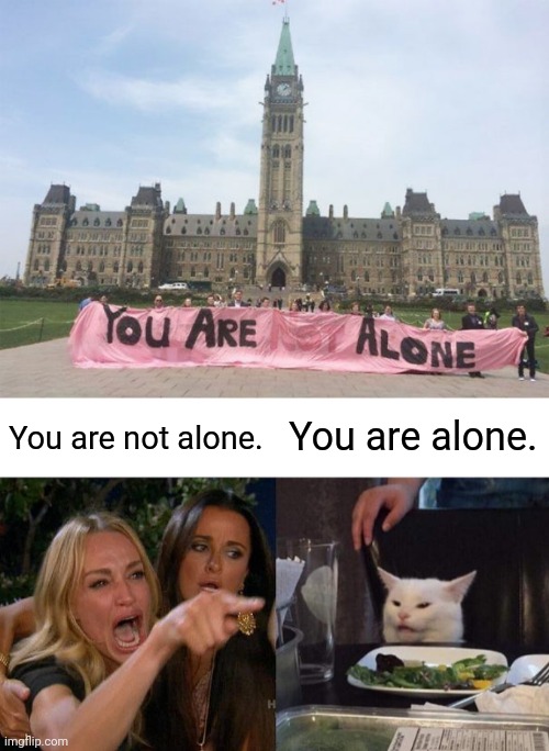 Alone | You are not alone. You are alone. | image tagged in memes,woman yelling at cat,you had one job,design fails,alone,fail | made w/ Imgflip meme maker