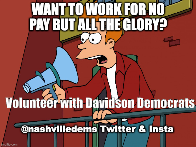 Futurama Fry Megaphone | WANT TO WORK FOR NO PAY BUT ALL THE GLORY? Volunteer with Davidson Democrats; @nashvilledems Twitter & Insta | image tagged in futurama fry megaphone | made w/ Imgflip meme maker