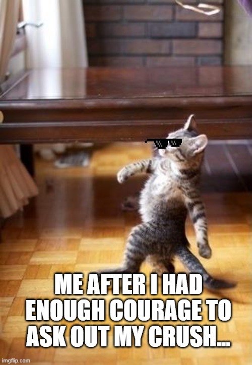 Cool Cat Stroll | ME AFTER I HAD ENOUGH COURAGE TO ASK OUT MY CRUSH... | image tagged in memes,cool cat stroll | made w/ Imgflip meme maker
