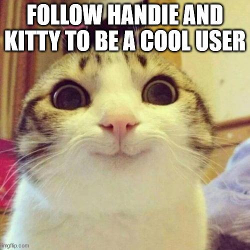 eh i have more followers follow him just be nice to me | FOLLOW HANDIE AND KITTY TO BE A COOL USER | image tagged in memes,smiling cat | made w/ Imgflip meme maker