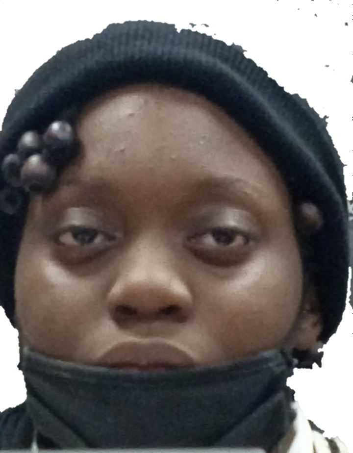 ShitpostOfFelix Blank Meme Template