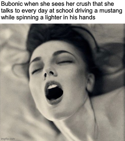 Bubonic when she sees her crush that she
talks to every day at school driving a mustang
while spinning a lighter in his hands | made w/ Imgflip meme maker