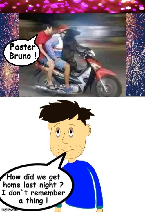 Faster Bruno ! | image tagged in drunk dog | made w/ Imgflip meme maker