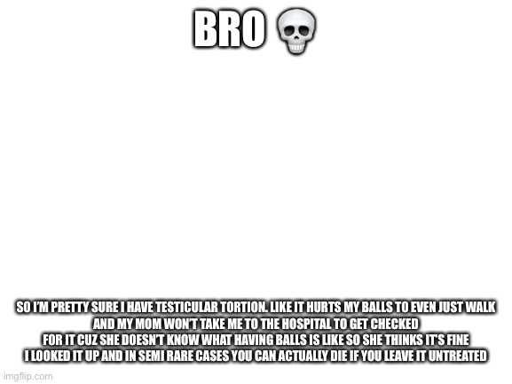 I’m sorry for making fun of you soul lmao | BRO 💀; SO I’M PRETTY SURE I HAVE TESTICULAR TORTION. LIKE IT HURTS MY BALLS TO EVEN JUST WALK
AND MY MOM WON’T TAKE ME TO THE HOSPITAL TO GET CHECKED FOR IT CUZ SHE DOESN’T KNOW WHAT HAVING BALLS IS LIKE SO SHE THINKS IT’S FINE
I LOOKED IT UP AND IN SEMI RARE CASES YOU CAN ACTUALLY DIE IF YOU LEAVE IT UNTREATED | image tagged in blank white template | made w/ Imgflip meme maker