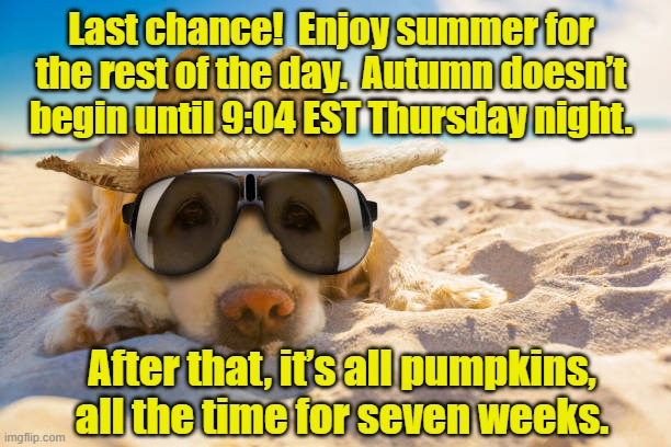 Autumn almost here | Last chance!  Enjoy summer for the rest of the day.  Autumn doesn’t begin until 9:04 EST Thursday night. After that, it’s all pumpkins, all the time for seven weeks. | image tagged in summer vacation,autumn,fall,pumpkin spice,pumpkins,september | made w/ Imgflip meme maker