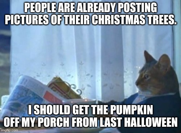 funny lol | PEOPLE ARE ALREADY POSTING PICTURES OF THEIR CHRISTMAS TREES. I SHOULD GET THE PUMPKIN OFF MY PORCH FROM LAST HALLOWEEN | image tagged in memes,i should buy a boat cat | made w/ Imgflip meme maker