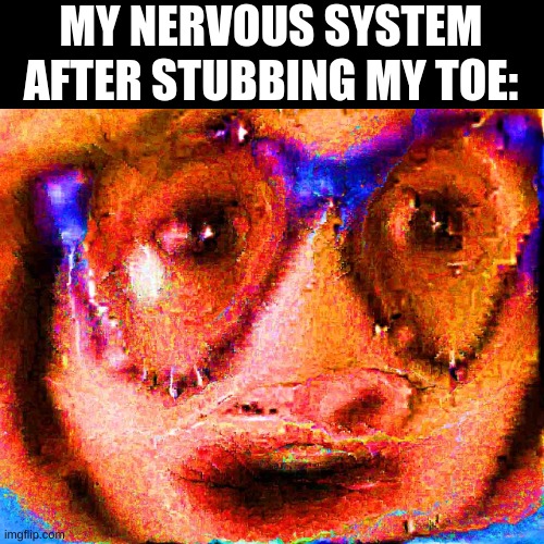 true hell | MY NERVOUS SYSTEM AFTER STUBBING MY TOE: | image tagged in that vegan teacher distorted content aware scale,memes,funny,fun | made w/ Imgflip meme maker