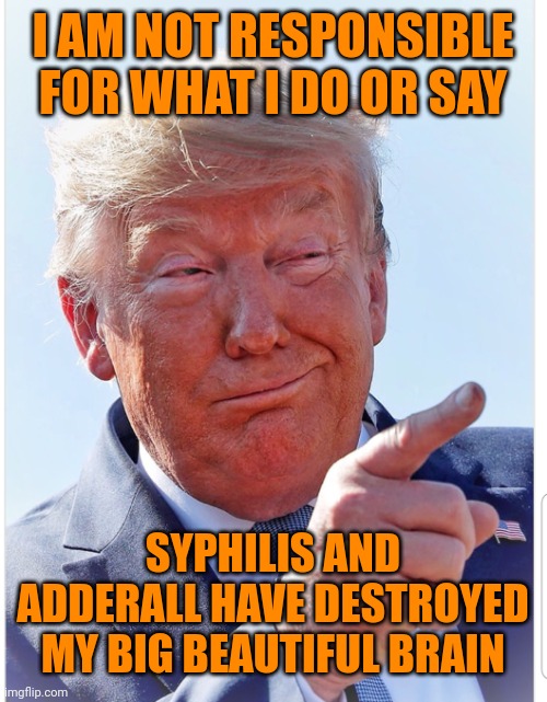 Trump pointing | I AM NOT RESPONSIBLE FOR WHAT I DO OR SAY SYPHILIS AND ADDERALL HAVE DESTROYED MY BIG BEAUTIFUL BRAIN | image tagged in trump pointing | made w/ Imgflip meme maker