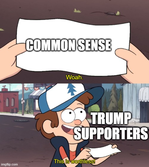 This is Worthless | COMMON SENSE; TRUMP SUPPORTERS | image tagged in this is worthless,memes,donald trump,common sense,garbage,worthless | made w/ Imgflip meme maker