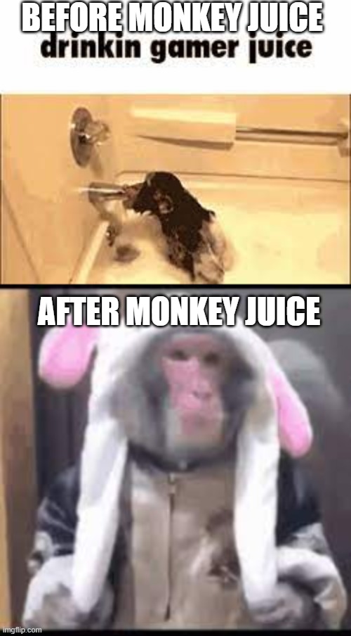BEFORE MONKEY JUICE; AFTER MONKEY JUICE | image tagged in monkey | made w/ Imgflip meme maker