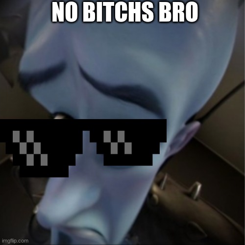 Megamind peeking | NO BITCHS BRO | image tagged in megamind peeking | made w/ Imgflip meme maker