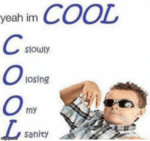 Cool like sanity | image tagged in insanity | made w/ Imgflip meme maker