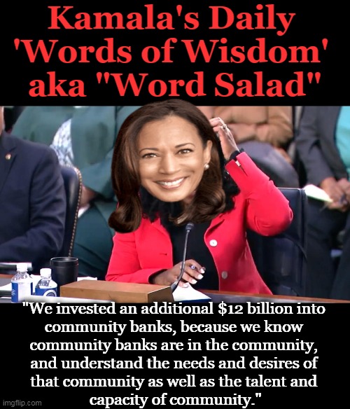 Proving again why we shouldn't elect people for the color of their skin or what's not between their legs... | Kamala's Daily 
'Words of Wisdom' 
aka "Word Salad"; "We invested an additional $12 billion into 
community banks, because we know 
community banks are in the community, 
and understand the needs and desires of 
that community as well as the talent and 
capacity of community." | image tagged in politics,affirmative action,race,gender,incompetence,equality not equity | made w/ Imgflip meme maker