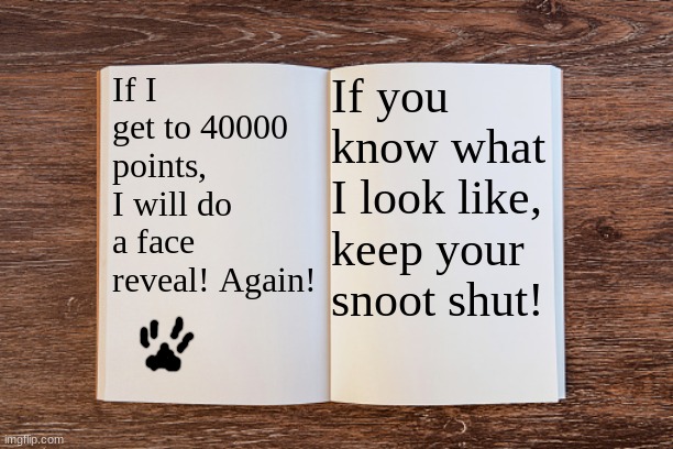just because I am bored... and... why not?! | If I get to 40000 points, I will do a face reveal! Again! If you know what I look like, keep your snoot shut! | image tagged in blank open book | made w/ Imgflip meme maker