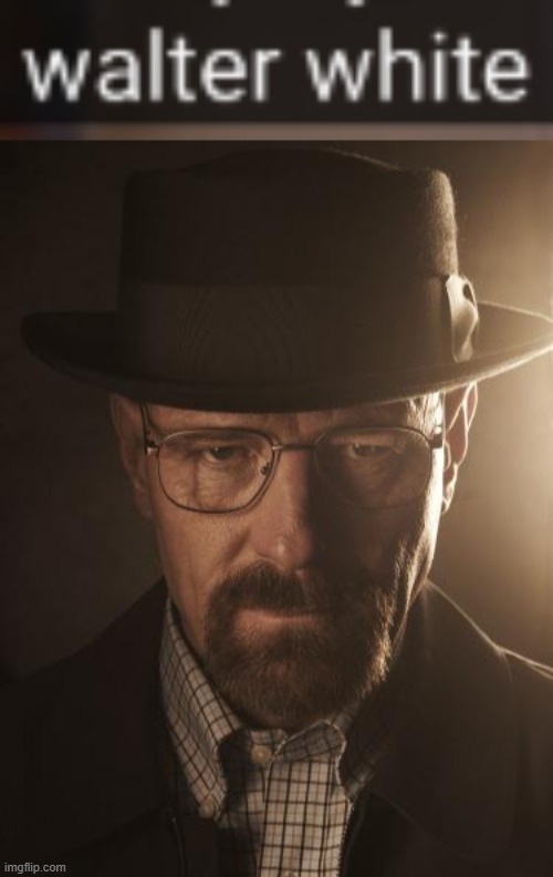 image tagged in walter white | made w/ Imgflip meme maker