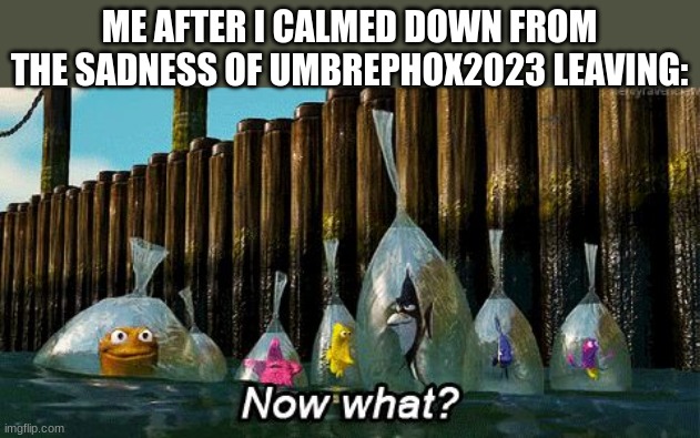 and... | ME AFTER I CALMED DOWN FROM THE SADNESS OF UMBREPHOX2023 LEAVING: | image tagged in now what | made w/ Imgflip meme maker