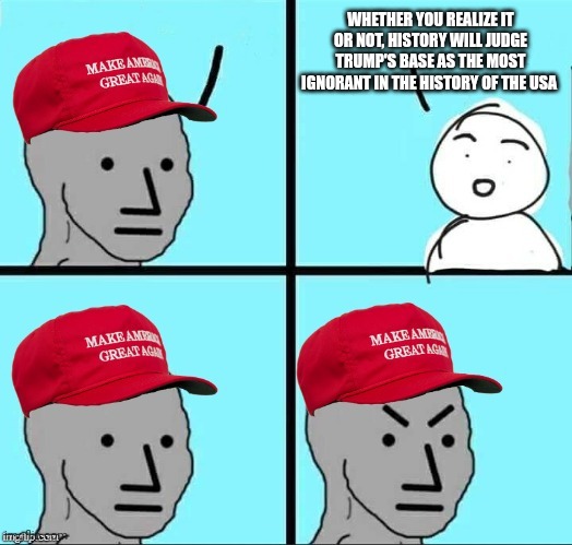 Book em Dano | WHETHER YOU REALIZE IT OR NOT, HISTORY WILL JUDGE TRUMP'S BASE AS THE MOST IGNORANT IN THE HISTORY OF THE USA | image tagged in maga npc an an0nym0us template | made w/ Imgflip meme maker