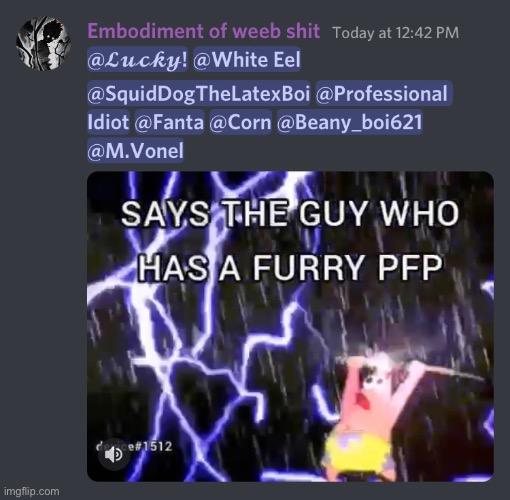 Yes I took my time to ping every person with a furry pfp in the discord | made w/ Imgflip meme maker