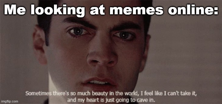 American Beauty Meme | Me looking at memes online: | image tagged in american beauty,memes,art | made w/ Imgflip meme maker