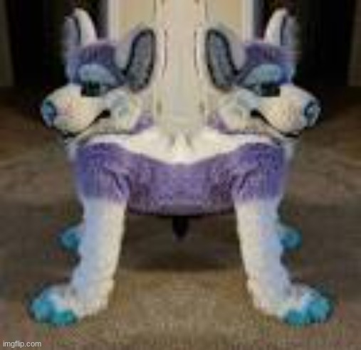 Day 6 of cursed fursuits bc why not xD (IMAGE IS NOT MINE!) | image tagged in furry,cursed,cursed image,you have been eternally cursed for reading the tags,the furry fandom | made w/ Imgflip meme maker