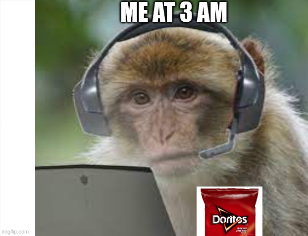 Me At 3 AM Imgflip