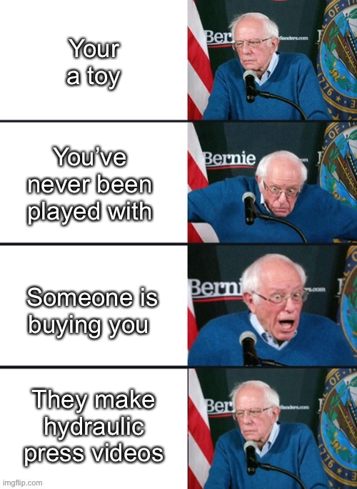 Oh no no no |  Your a toy; You’ve never been played with; Someone is buying you; They make hydraulic press videos | image tagged in bernie sander reaction change,funny,bernie sanders,toys,uh oh,crush | made w/ Imgflip meme maker