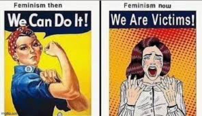 image tagged in triggered feminist,feminazi,feminism is cancer | made w/ Imgflip meme maker