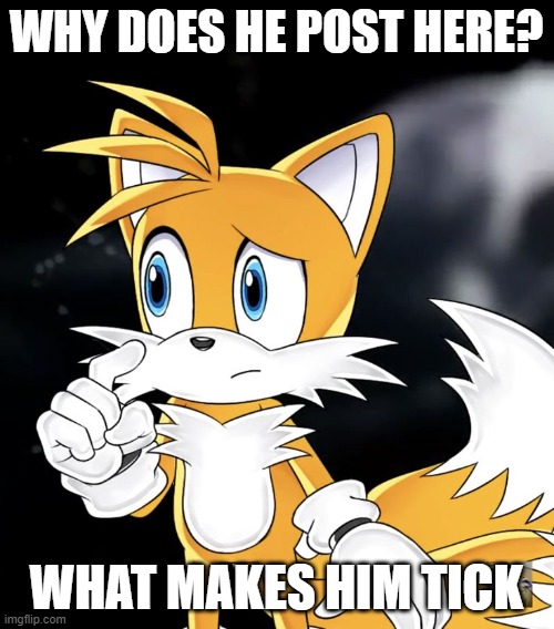 WHY DOES HE POST HERE? WHAT MAKES HIM TICK | image tagged in tails thinking | made w/ Imgflip meme maker