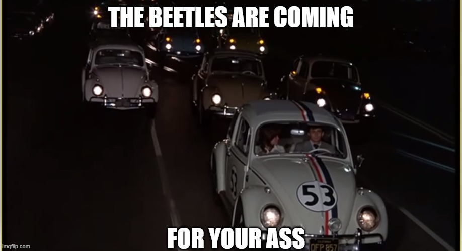 THE BEETLES ARE COMING; FOR YOUR ASS | made w/ Imgflip meme maker