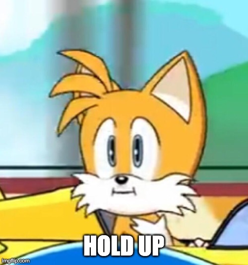 Tails hold up | HOLD UP | image tagged in tails hold up | made w/ Imgflip meme maker