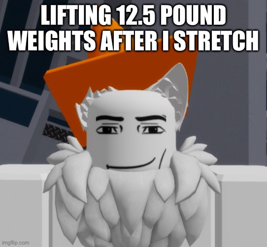 I’ll still be online tho | LIFTING 12.5 POUND WEIGHTS AFTER I STRETCH | image tagged in cone | made w/ Imgflip meme maker