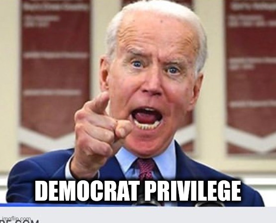 Joe Biden no malarkey | DEMOCRAT PRIVILEGE | image tagged in joe biden no malarkey | made w/ Imgflip meme maker
