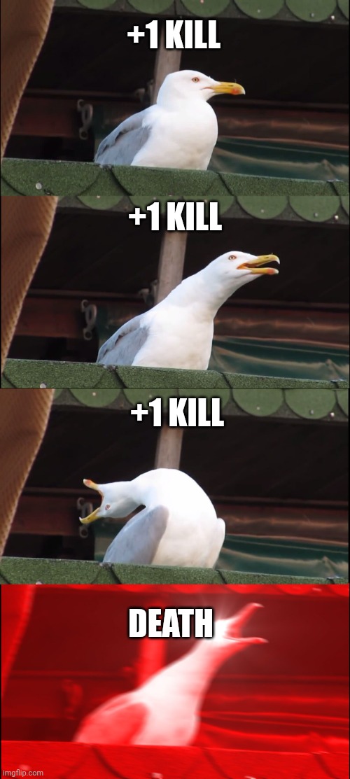 Inhaling Seagull Meme | +1 KILL; +1 KILL; +1 KILL; DEATH | image tagged in memes | made w/ Imgflip meme maker