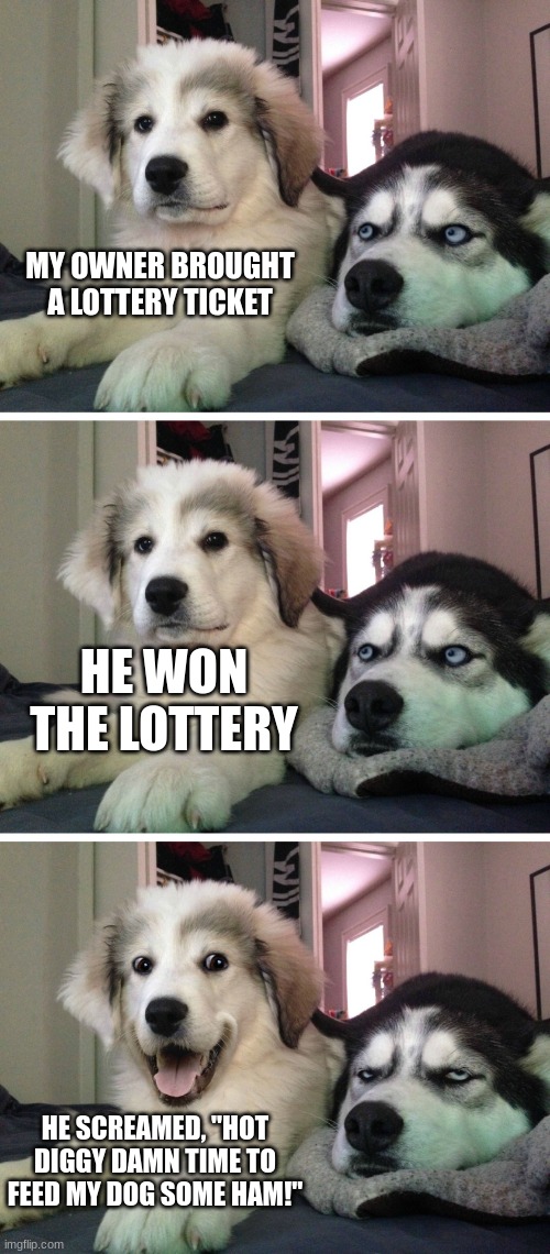 The dog joke | MY OWNER BROUGHT A LOTTERY TICKET; HE WON THE LOTTERY; HE SCREAMED, "HOT DIGGY DAMN TIME TO FEED MY DOG SOME HAM!" | image tagged in bad pun dogs,bad meme,bad pun dog | made w/ Imgflip meme maker